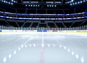 НХЛ: «Юта Маммут» сыграет с «Анахайм Дакс» после двух голов Крауза