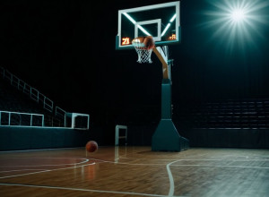 Баскетбольный матч: UAPB Golden Lions против UIC Flames