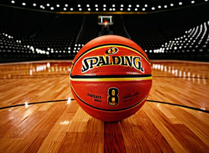 Баскетбольное противостояние: Lindenwood Lions против Northern Illinois Huskies