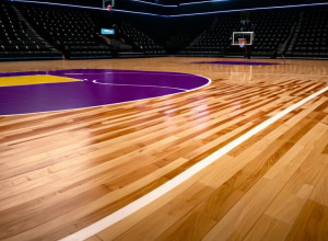 Рейтинг женских студенческих баскетбольных команд USA TODAY: "Коннектикут" продолжает лидировать