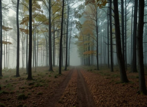 Убийство беременной женщины в лесах Мичигана: Мать и ее муж обвиняются в зверстве