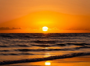 Дня Мартина Лютера Кинга для Берниси: «Это время спасения»