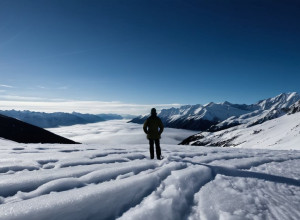 Сенатор Том Тилс не боится гибели власти