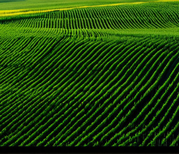 Путешествие по России: От Москвы до Байкала