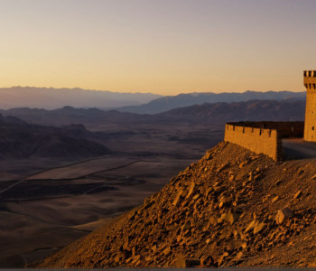 Пакистан заявляет об уничтожении 20 боевиков на границе с Афганистаном на фоне обострения напряженности