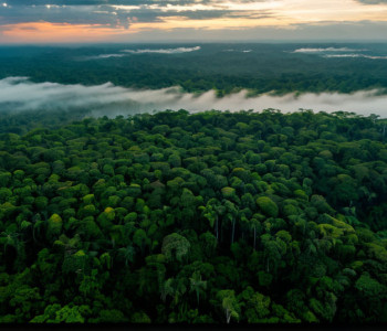 Климатические переговоры ООН выходят на новый уровень: Министры приступают к ключевым решениям на COP30