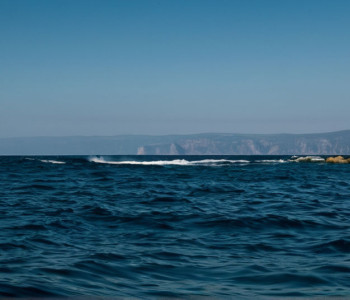 Природа Черного моря