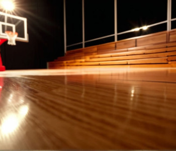 Баскетбол: Айона Гейлз встретится с УМКС Руз после впечатляющей игры Энтони