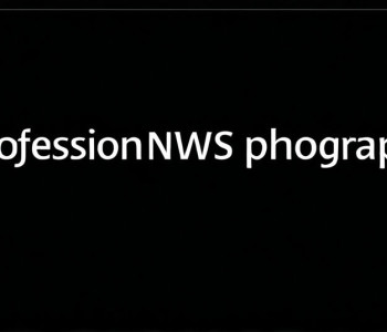 Как использовать JSON Schema для валидации данных