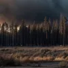 Житель Калифорнии признан виновным в поджоге, вызвавшем крупный пожар