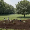 Как "Зеленая команда" Миннесоты помогает подросткам справиться с климатической тревогой