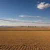Как Китай использует трудовые программы для контроля над Синьцзяном и изменения уйгурской идентичности