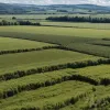 Правительство восстановит удаленные фермерами климатические данные после иска