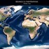 Трамп планирует ввести налоги на посылки из Китая: что это значит для покупателей и бизнеса?