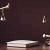 Редкое дело о гражданстве по рождению рассматривается в США