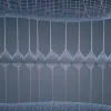 Генетическая тайна роста: Ученые нашли новую причину, почему мужчины выше женщин