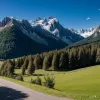 Этап «Тур де Франс» сократили из-за вспышки болезни у коров