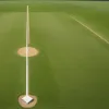 Каролинская лига по бейсболу: Carolina Mudcats и Myrtle Beach Pelicans лидируют в дивизионах