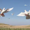 Переговоры Армении и Азербайджана в Абу-Даби: прорыва в урегулировании конфликта не произошло