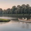 Королевская перепись лебедей: в Великобритании началась многовековая традиция на Темзе