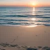 Битва за пляж: звезда Backstreet Boys Брайан Литтрелл судится с шерифом Флориды