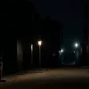 В Нью-Йорке матери предъявлены обвинения в убийстве новорожденных близнецов, найденных четыре года назад