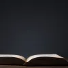 Мемуары жертвы Эпштейна Вирджинии Джуффре: откровения о сексуальном насилии и борьбе за справедливость