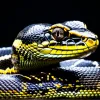 Основы Python для начинающих