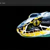 Краткое руководство по Python