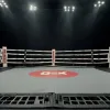 Мераб Двалишвили против Петра Яна: битва за пояс UFC 323 и исторический рекорд