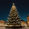 Лондонская рождественская ель: норвежская традиция дружбы, уходящая корнями в военное время