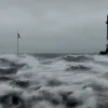 Чарльз Кох: многие «отказываются» от принципов