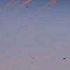 Вертолет Black Hawk сорвал посадку двух самолетов в DCA